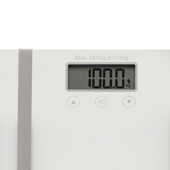 Adler digitalna telesna vaga AD8154-1